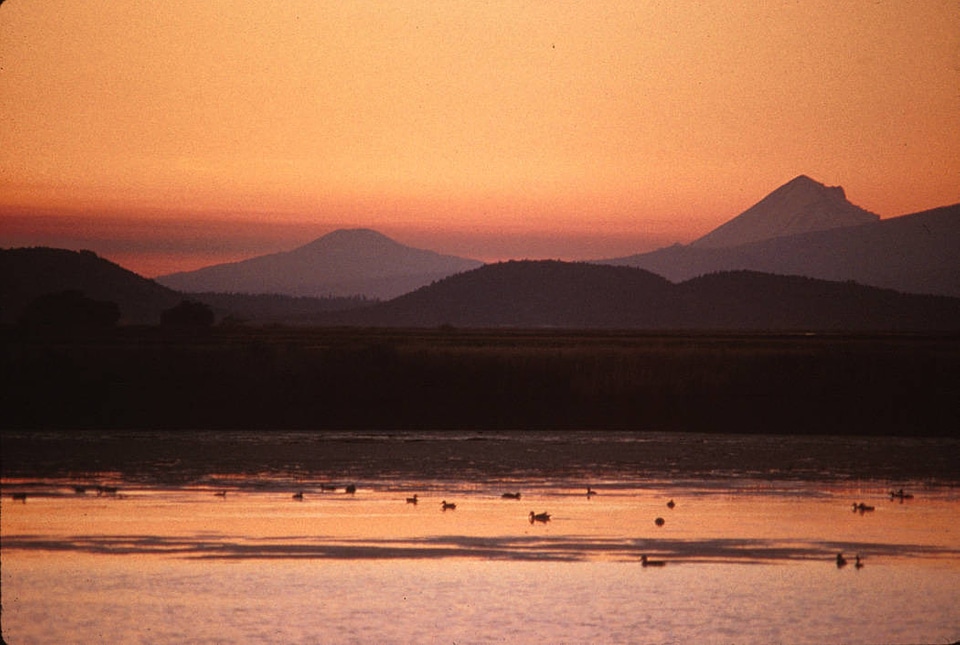 Lower Klamath National Wildlife Refuge-3