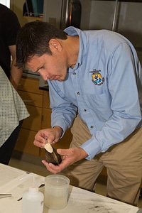Biologists learn how to grow freshwater mussels-1 photo