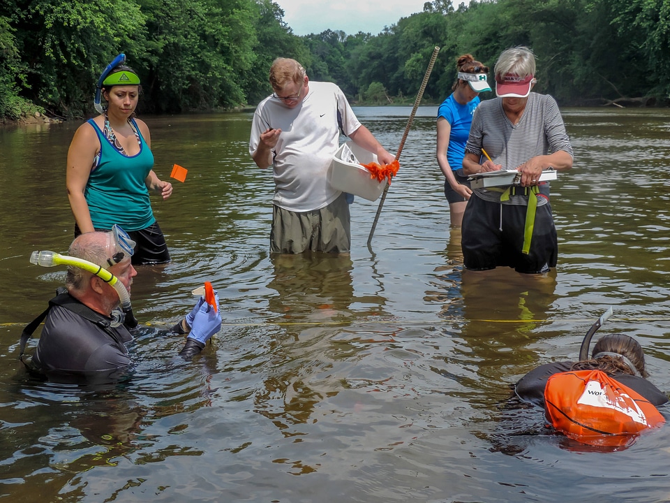 Students surveying freshwater mussels-1