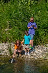 Family fishing, mother nets rainbow trout
