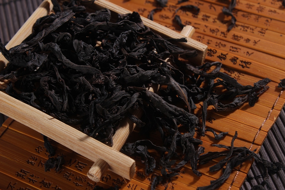 Tea da hong pao Free photos