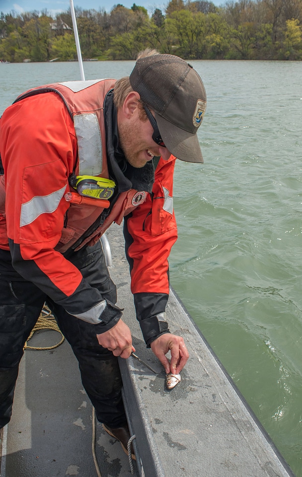 USFWS Fisheries crew baiting lines for lake sturgeon-6