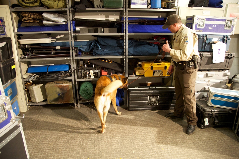 Law enforcement with K-9-1
