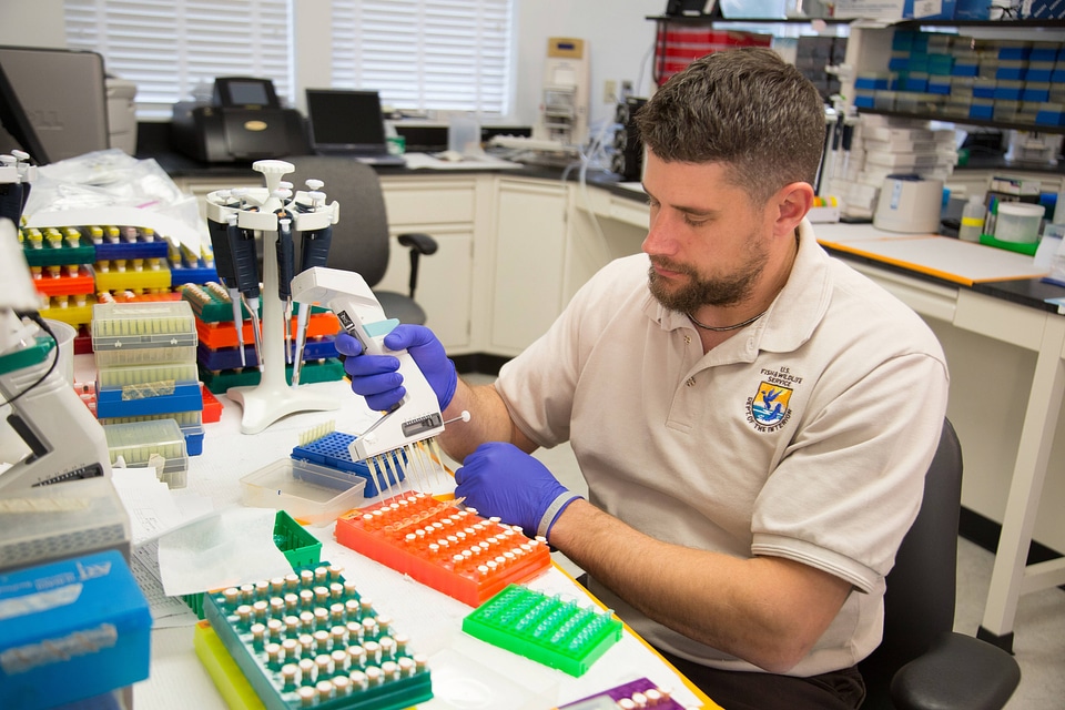 Geneticist at work-2