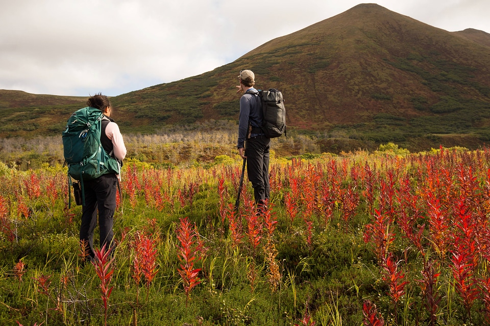 Hiking in a wildflower field