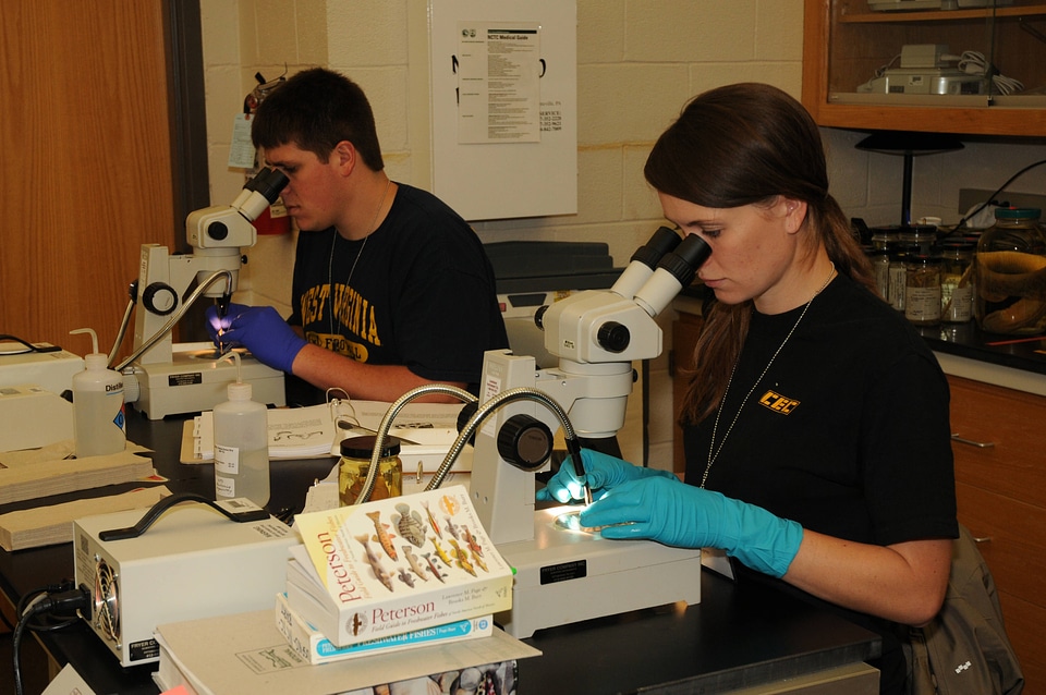 Students in the classroom lab-2