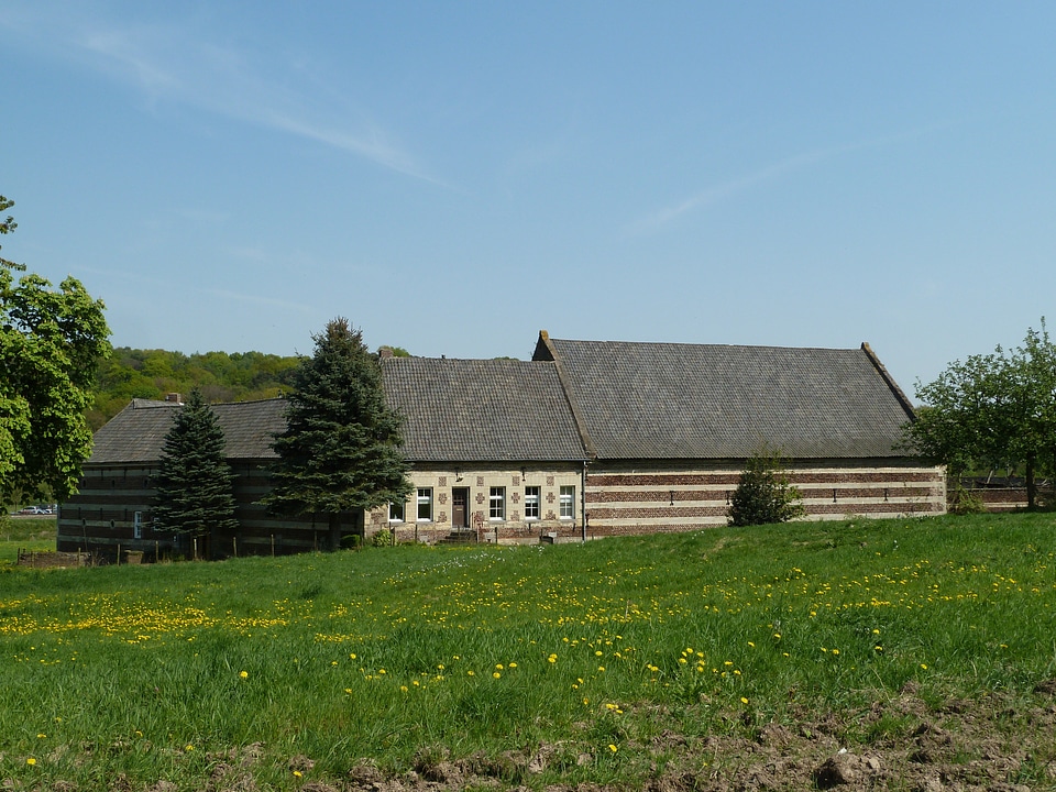 Building architecture landscape