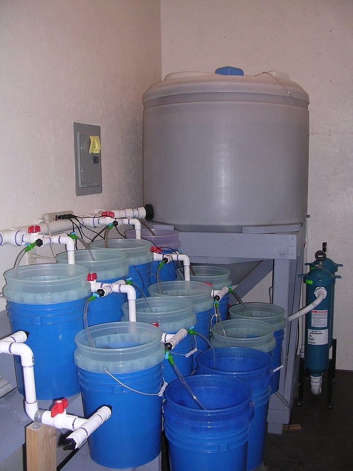 Partial flow-through bucket system