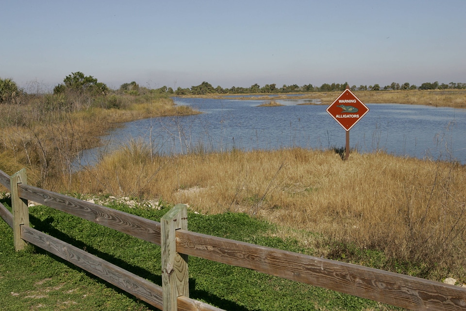 Alligator warning sign at St. Marks National Wildlife Refuge