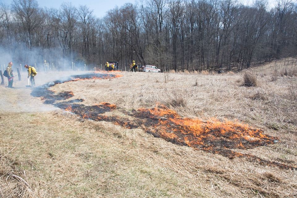 Prescribed burn at NCTC -9