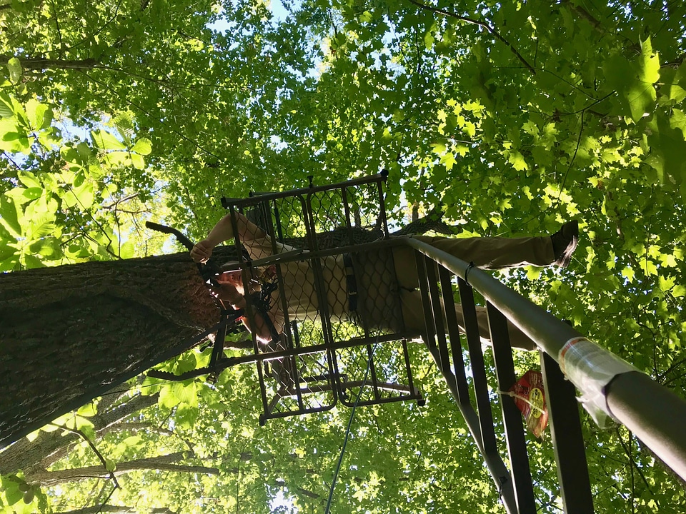 FWS employee repairing deer stand