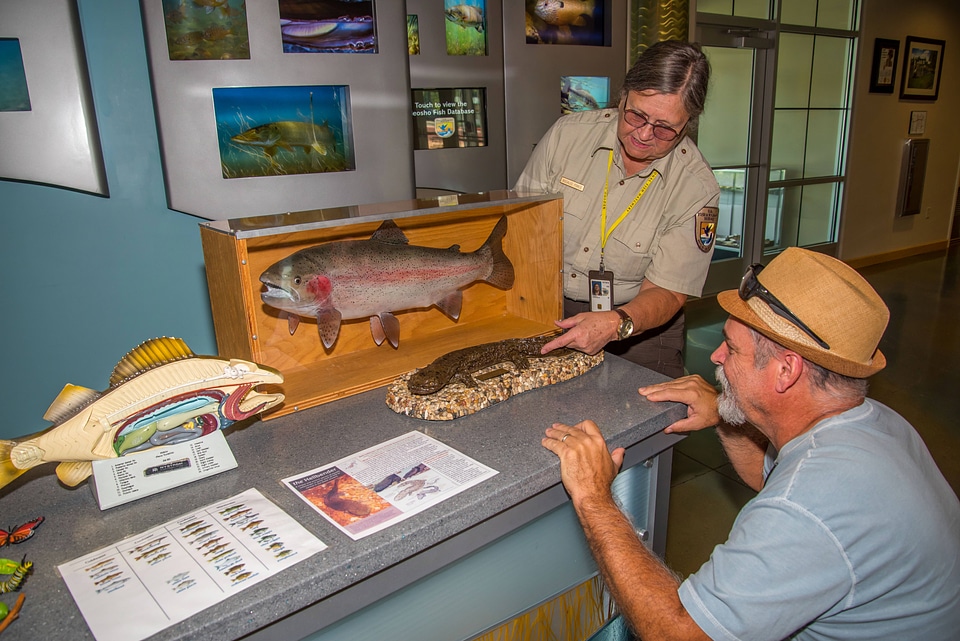 Visitor services specialist shows visitor fish and hellbender displays