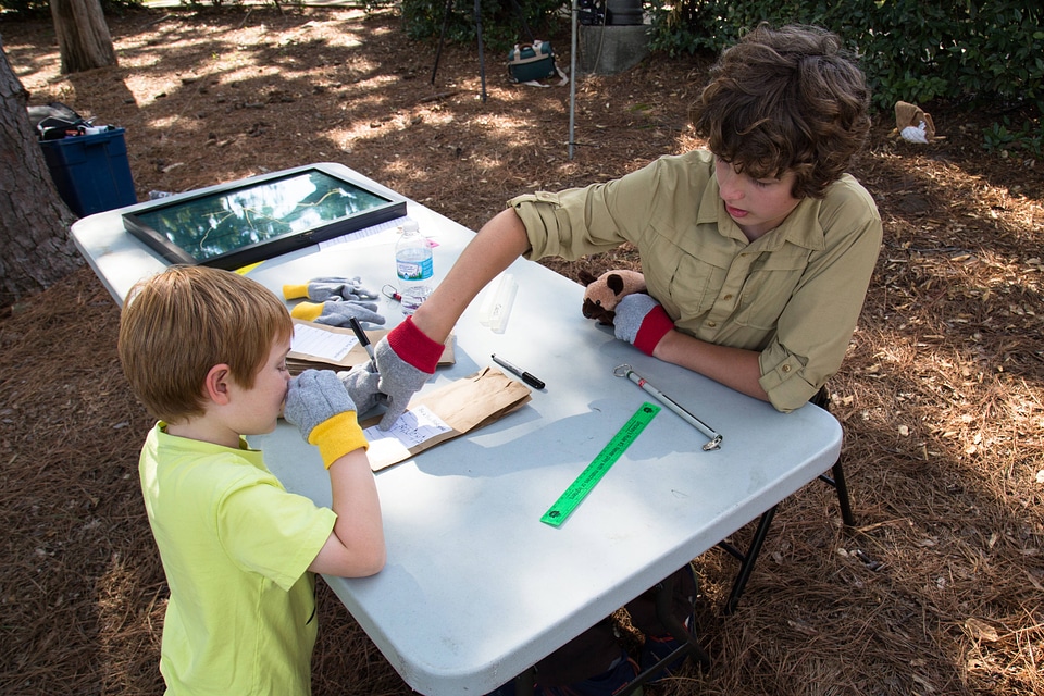 Two boys preparing to examine bats-3