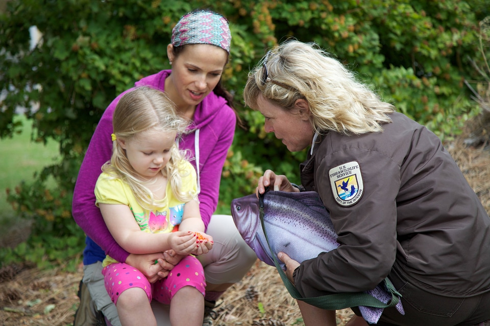 Service employee models environmental education simulation of a Pacific salmon-3