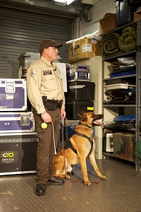 Law enforcement with K-9-3