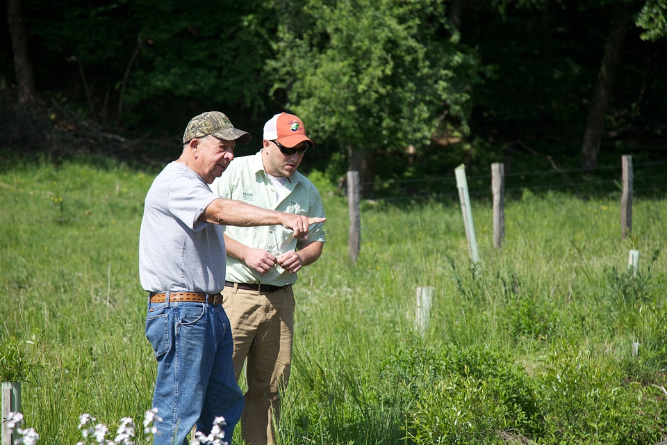 Brook Trout Restoration-2