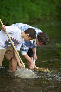Looking for macroinvertebrates