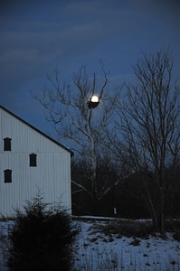 NCTC eagles nest at night-2
