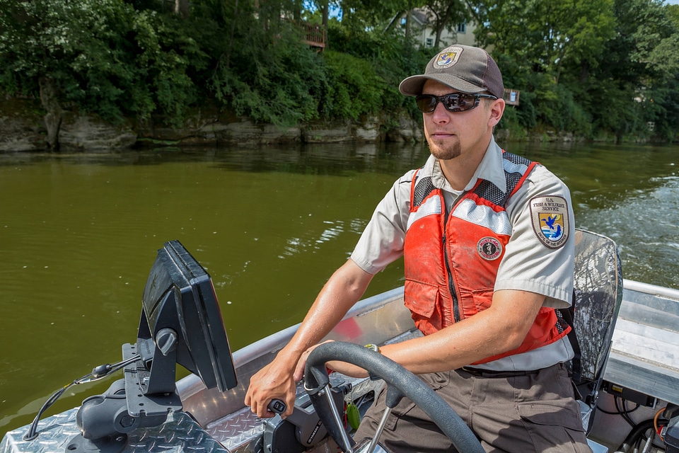 Electrofishing for invasive carp-7