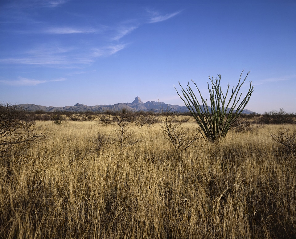 Buenos Aires National Wildlife Refuge