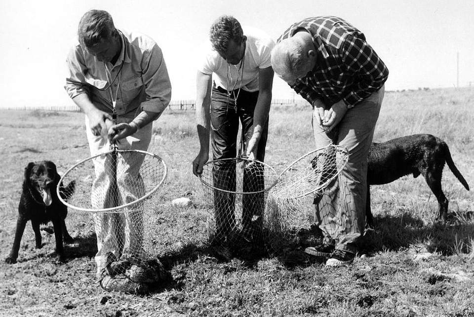 Historical Waterfowl Survey-2