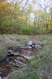 Brook Trout stream-1