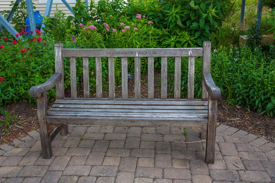 Bench at Blackwater NWR visitor center