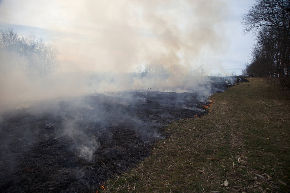 Prescribed burn area-1
