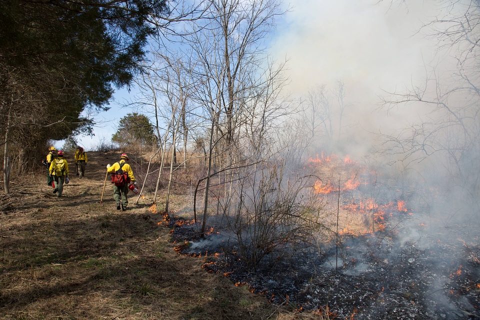 Prescribed burn at NCTC -1