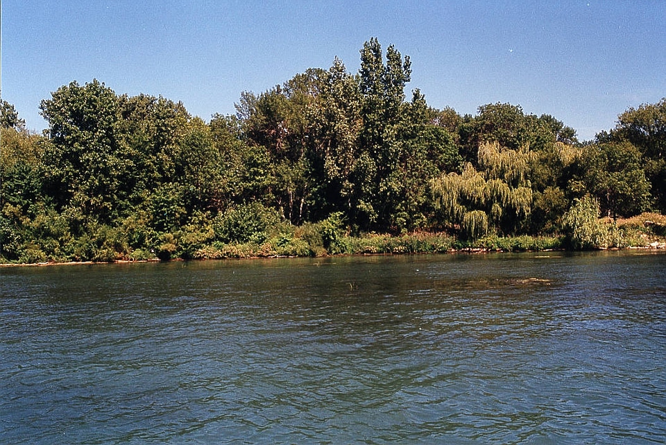 Calf Island coastline at Detroit River International Wildlife Refuge