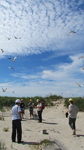 Service staff learn about the nesting seabirds