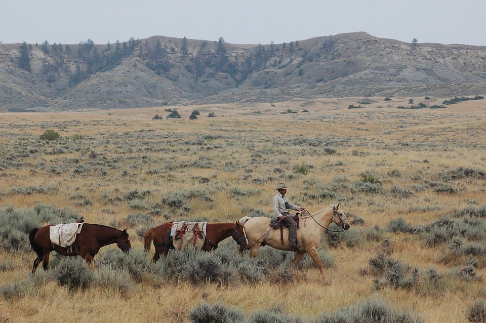Refuge law enforcement-1