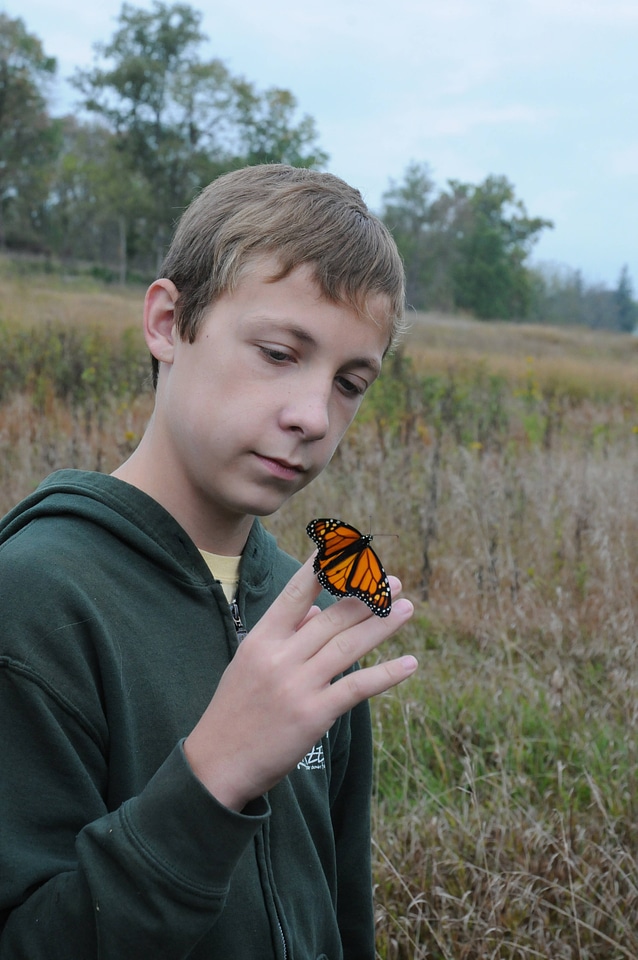 Boy holds Monarch butterfly-1
