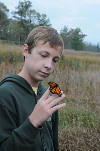 Boy holds Monarch butterfly-1