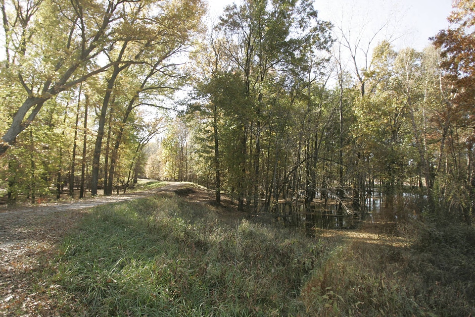 Flood damage on bottom land with hardwood trees at Swan Lake National Wildlife Refuge-2