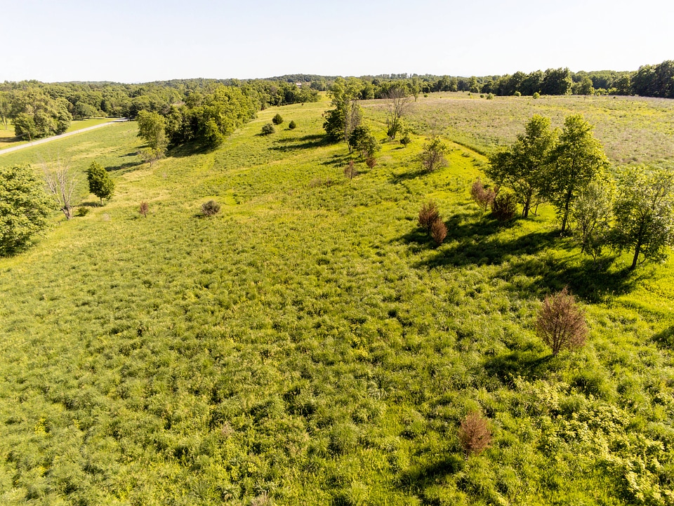 Warm season grasses-1