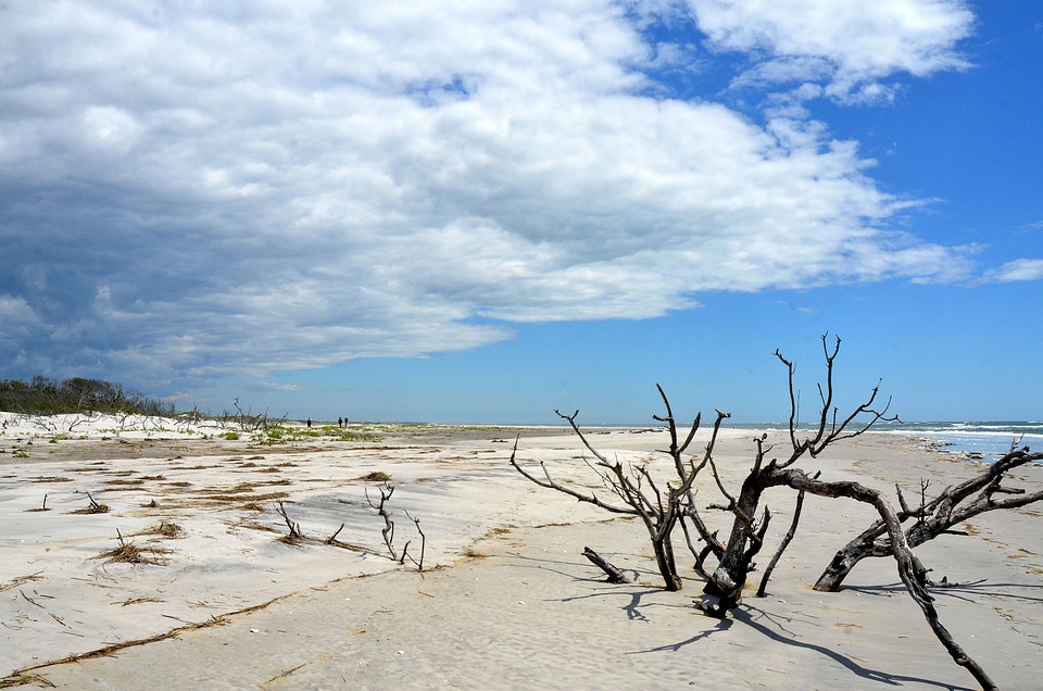 Little Beach Island