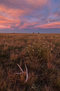 Sunset at the refuge