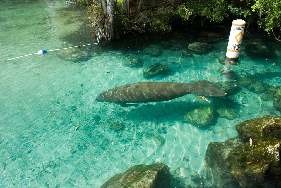 Three Sisters Springs area