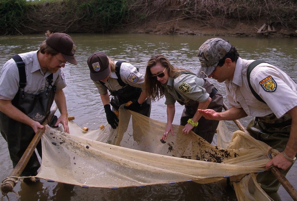 Seining in a Stream with Partners