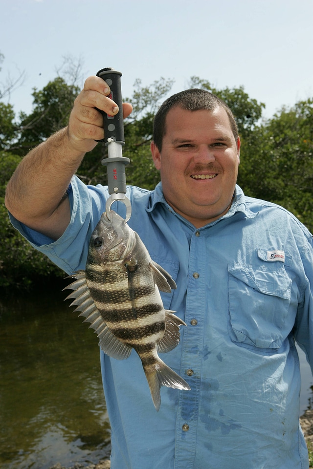 Refuge visitor catches Sheepshead
