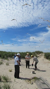 Service staff learn about the nesting seabirds-1
