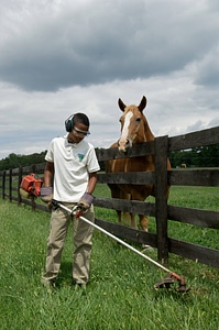 Bureau of Land Management youth mowing