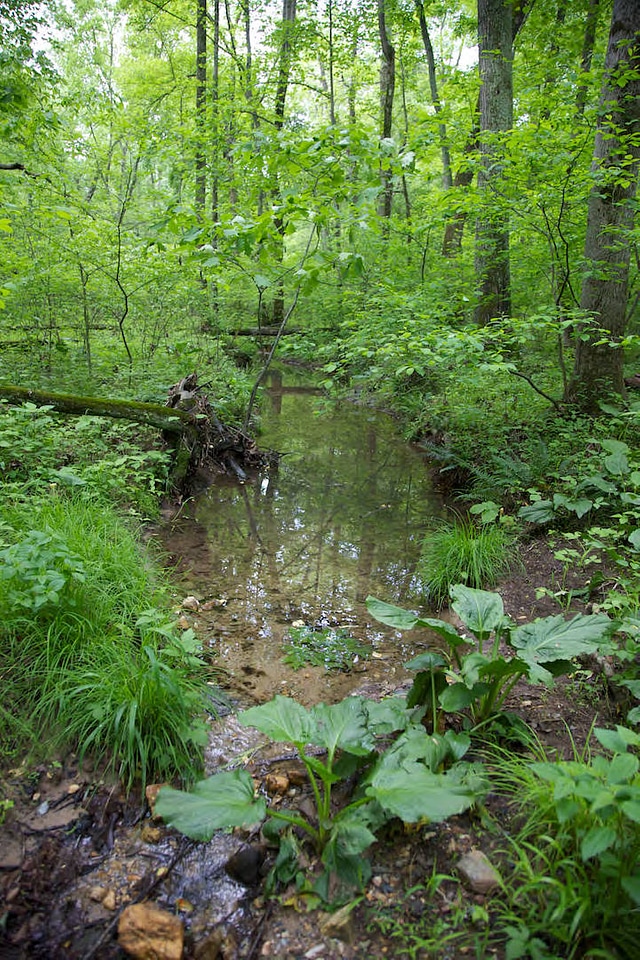 FWS employees surveying and assessing rivers and streams-1