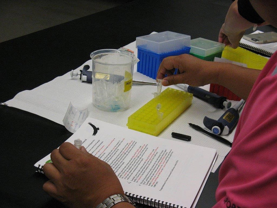 San Diego Zoo Institute for Conservation Research in the Science laboratory-2