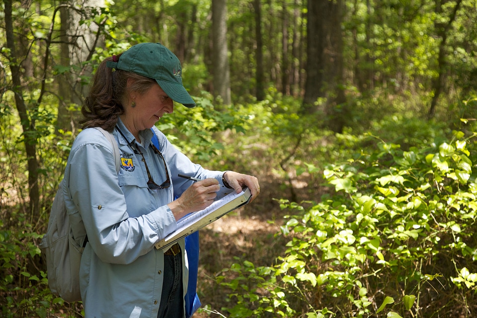 Service researcher
