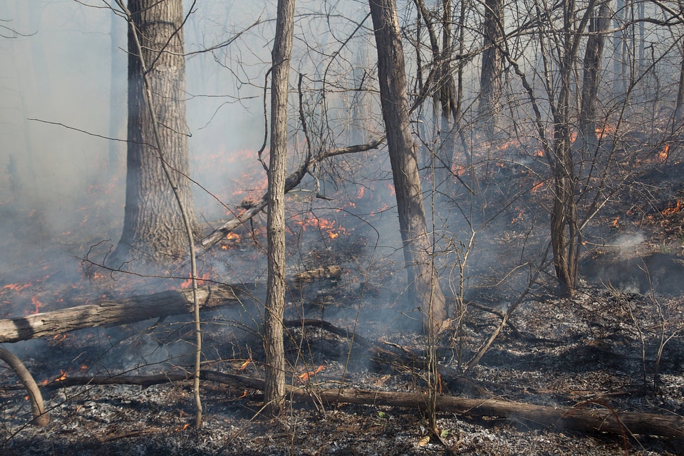 Prescribed burn at NCTC -1