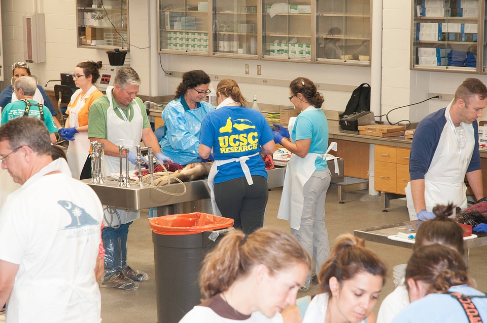 Marine Mammal Stranding Course at NCTC-3