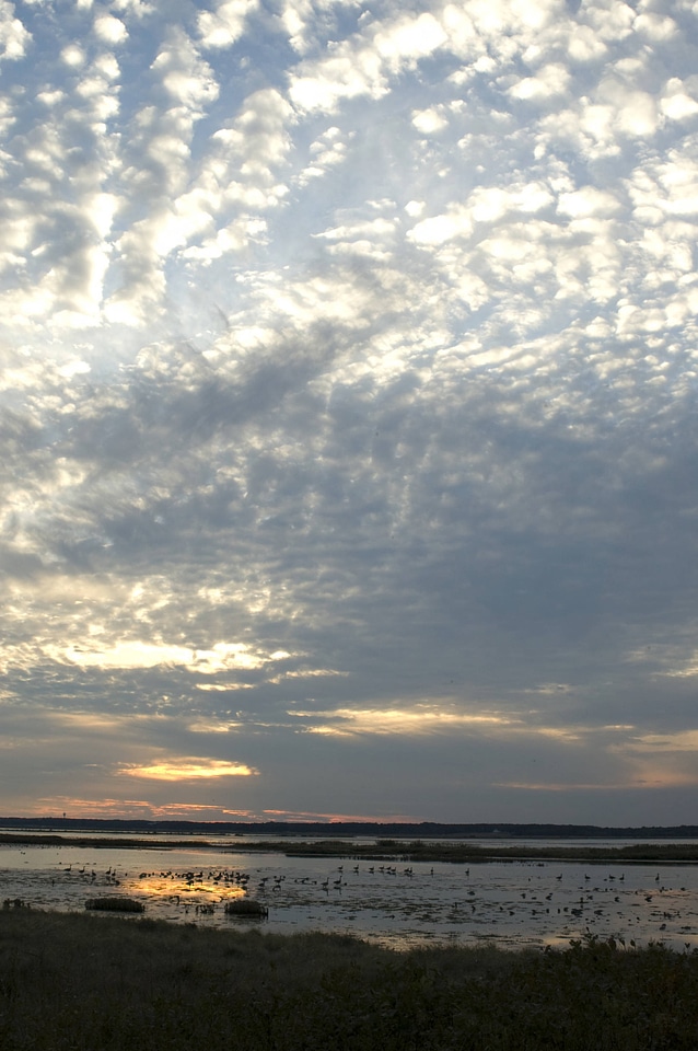 Expressive sky