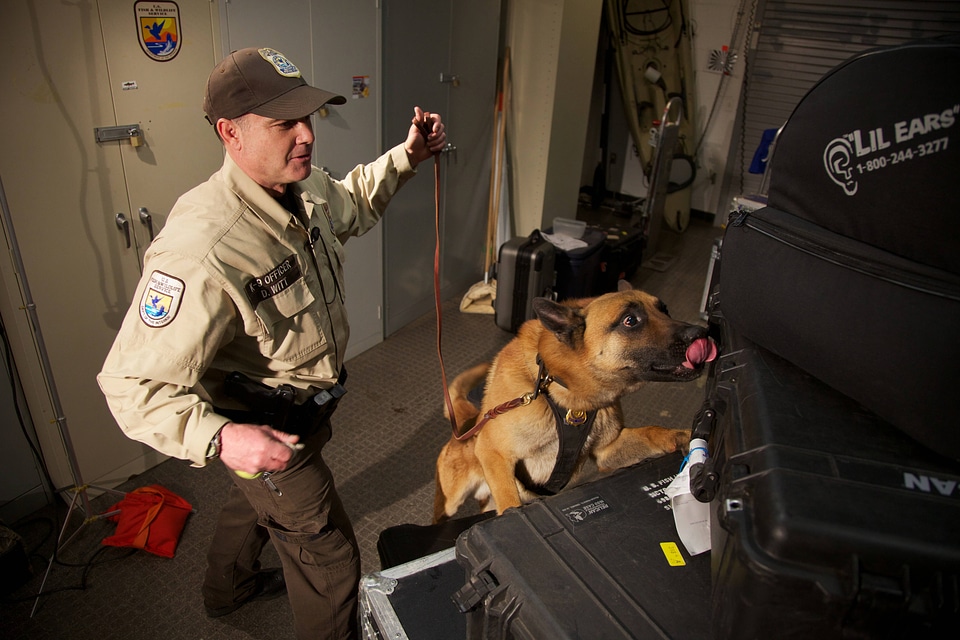 Law enforcement with K-9-3